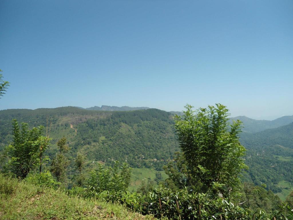 Mount River View Kandy Esterno foto