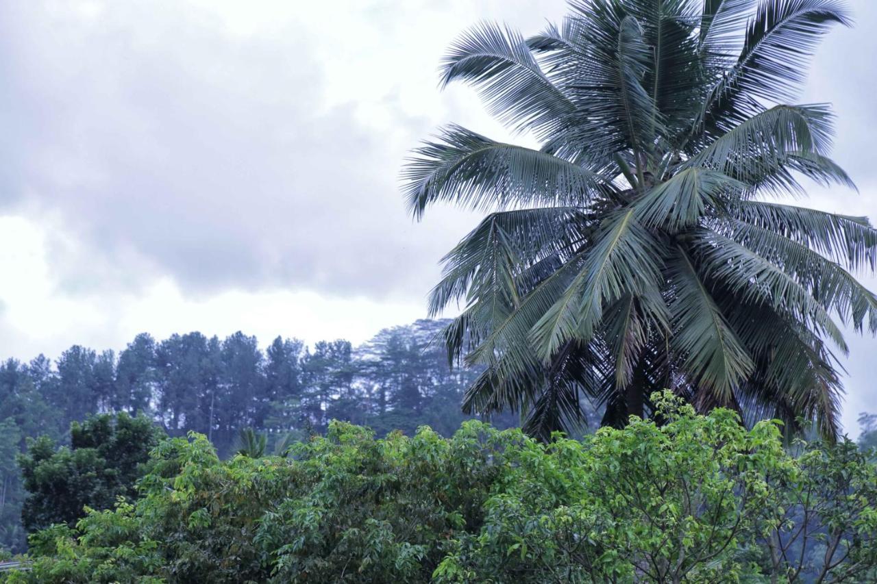 Mount River View Kandy Esterno foto